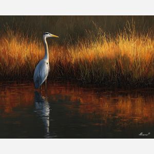 heron,wetlands,bird portrait,water reflection,oil painting,wading bird,soft light,calm stance,marshland,nature scene,wildlife,feather texture,tranquil mood,still water,long legs,avian elegance,subtle tones,realistic bird,peaceful atmosphere
