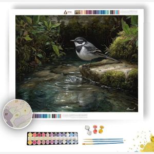 RIVERSTONE WAGTAIL - Paint by Numbers Full Kit