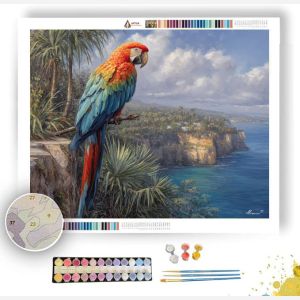 PALMCOAST MACAW - Paint by Numbers Full Kit