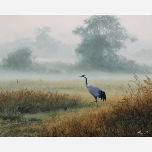 crane,bird in field,morning mist,oil painting,wading bird,nature art,soft atmosphere,feather detail,tranquil scene,wildlife painting,subtle colors,realistic bird,open landscape,calm movement