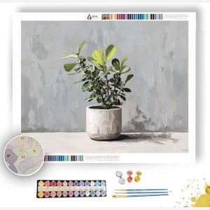 OPEN SURFACE - Paint by Numbers Full Kit