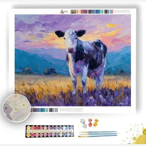 SOFT IMAGE - Paint by Numbers Full Kit