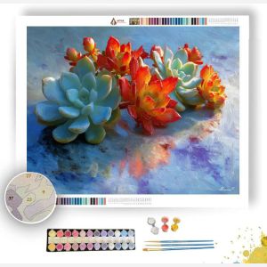 SUCCULENTS ON MARBLE - Paint by Numbers Full Kit