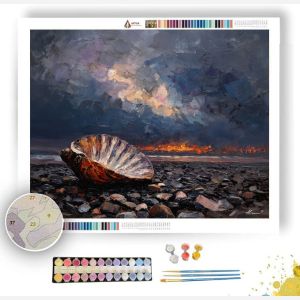 SHELL ON PEBBLES - Paint by Numbers Full Kit