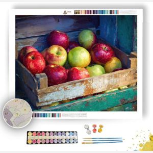 APPLES FROM ORCHARD SHED - Paint by Numbers Full Kit