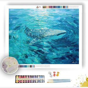 CLOUD COVE - Paint by Numbers Full Kit