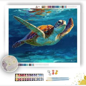 MOONLIT SUNBEAM DETAIL - Paint by Numbers Full Kit