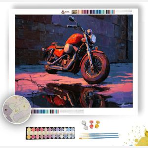 PUDDLE STUDY SUNLIT - Paint by Numbers Full Kit