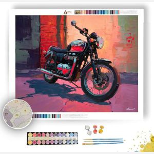 STONE CHROME - Paint by Numbers Full Kit