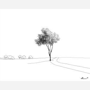 Park Path Tree, simple line art of a tree beside a park path plain white background airy minimal linework, line art, minimal line drawing, black and white art, simple illustration, outline drawing, canvas art, wall art, minimalist artwork, clean line art, decorative line drawing, modern line art, gallery wall art, home decor art, simple black line, white background art, contour drawing, minimal scene art, ink outline style
