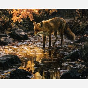 red fox, fox pausing, pausing wet, red art, red painting, fox art, fox painting, pausing art, pausing painting, wet art, wet painting, woodland art, woodland painting, path art, path painting, amber art, amber painting, leaves art, leaves painting, clinging art