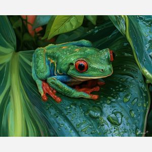 Costa Rica frog painting, red eyed tree frog art, tropical wildlife decor, oil painting, rainforest animal painting, Costa Rican nature art, colorful frog wall art, Central America wildlife, jungle decor, botanical art