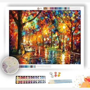 COLORFUL NIGHT - Paint by Numbers Full Kit
