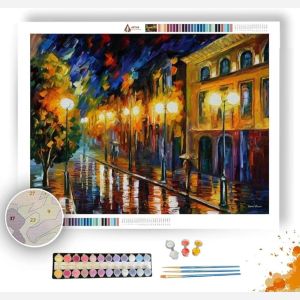 FASCINATION OF THE NIGHT - Paint by Numbers Full Kit