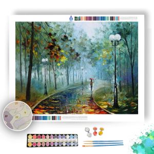 FOG OF PASSION - Paint By Numbers Full Kit