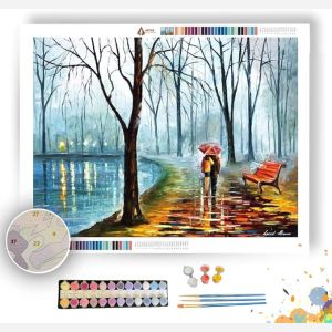 INSIDE THE RAIN - Paint by Numbers Full Kit