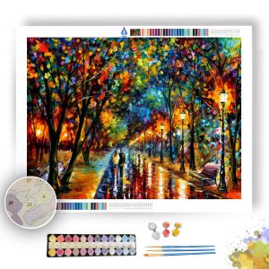 WHEN DREAMS COME TRUE - Paint By Numbers Full Kit