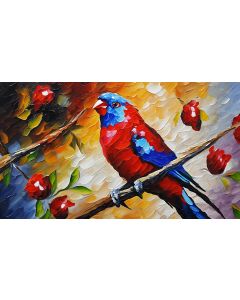 CRIMSON ROSELLA