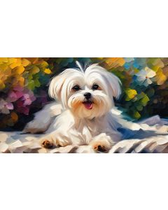 MALTESE BLISS