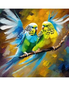BUDGIE BALLET