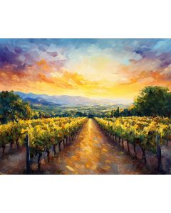 NAPA VINEYARD SUNSET