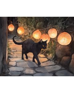 LANTERN CAT NIGHT