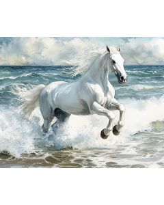 SEASIDE HORSE RUN
