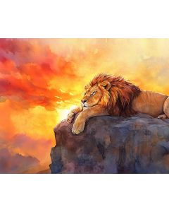 SUNSET LION REST