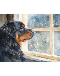 WINDOW DOG WATCH