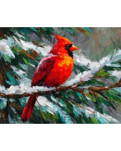 RUBY CARDINAL SONG