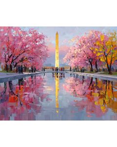 WASHINGTON D.C. REFLECT