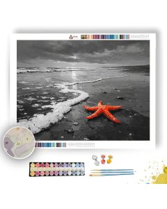 CORAL CRESCENT - Paint by Numbers Full Kit