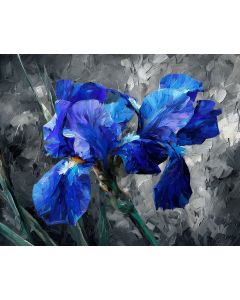 INDIGO IRIS B&W