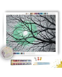 CELADON CRESCENT - Paint by Numbers Full Kit