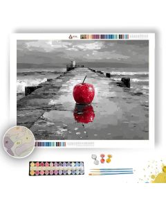 RUBY REFLECTION BW - Paint by Numbers Full Kit