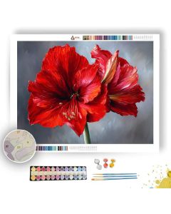 AMARYLLIS GLOW - Paint by Numbers Full Kit