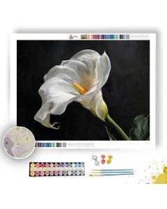 CALLA LILY GRACE - Paint by Numbers Full Kit