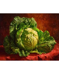 LETTUCE LEAVES
