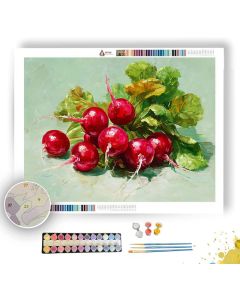 RADISH RUSH - Paint by Numbers Full Kit
