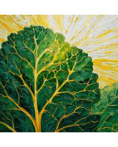 PHOTOSYNTHESIS