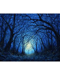 NIGHT TIME FOREST
