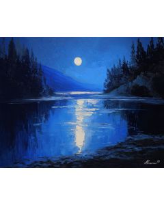 THE MOONS REFLECTION