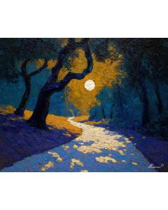 THE MOONS SHADOW