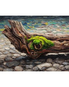 DRIFTWOOD TREASURE