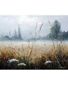 MORNING FOG