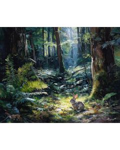 SUMMER GLADE