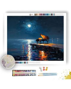 MIDNIGHT SONATA - Paint by Numbers Full Kit