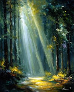 FOREST PATH ILLUMINATED