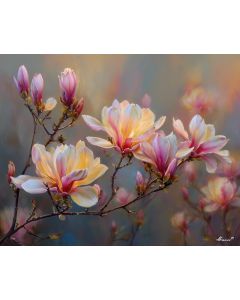DAWN IN BLOOM