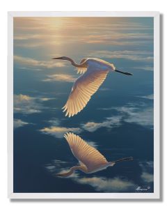 STILLNESS IN FLIGHT - FRAMED